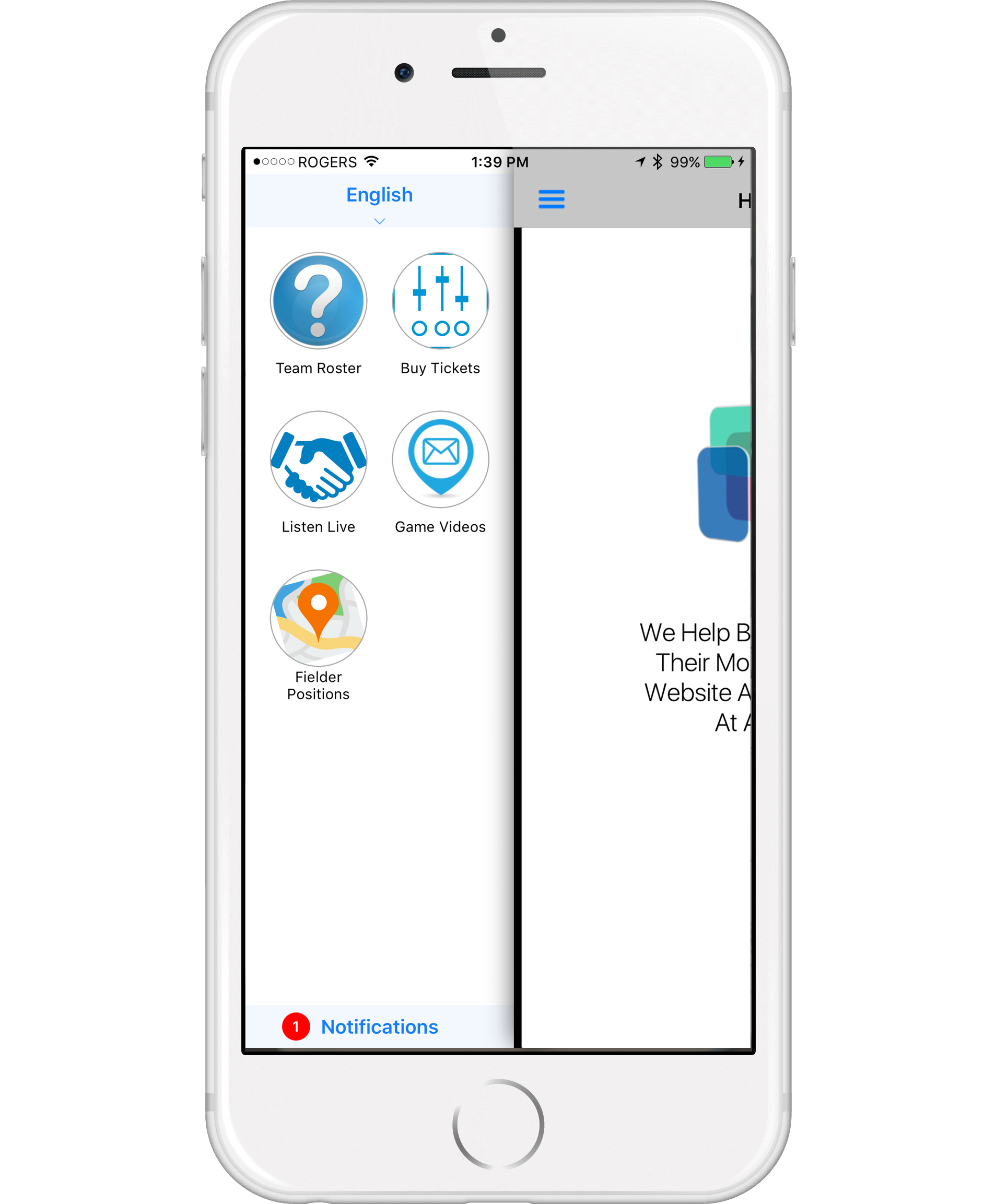 Sample Mapping Image